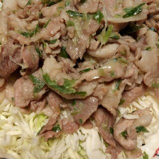 漬け込みで簡単大満足！豚肉のネギ塩炒め